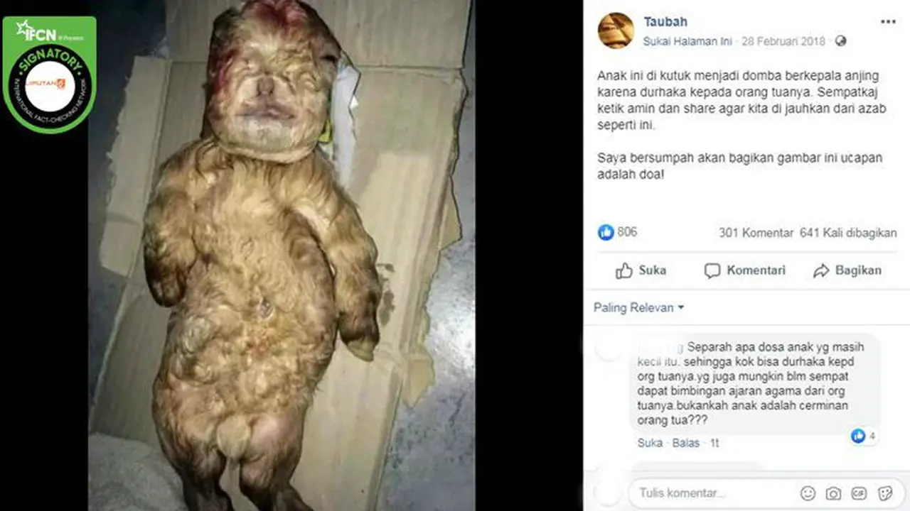 [Cek Fakta] Gambar Tangkapan Layar Foto Bayi Kambing