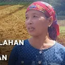 Mengubah Lahan Kering Jadi Ladang Cuan
