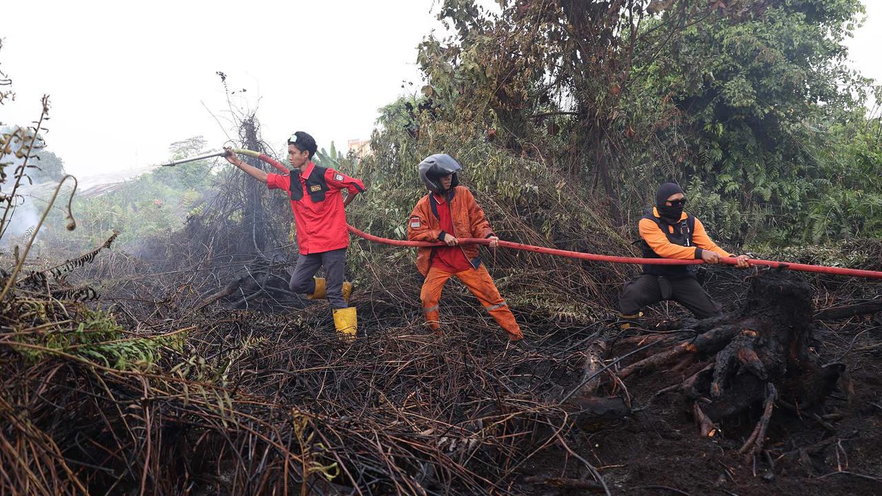 Karhutla Meluas di Sejumlah Wilayah Indonesia