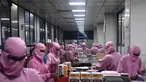 Para pekerja mengemas jarum suntik di pabrik Jarum Suntik Hindustan di Faridabad (2/9/2020). Produsen jarum suntik terbesar di India meningkatkan produksinya untuk menghasilkan satu miliar unit. (AFP/Sajjad Hussain)