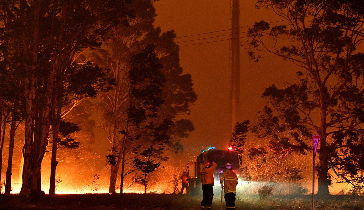 Petugas pemadam kebakaran menyemprot pohon saat berusaha memadamkan api akibat kebakaran hutan di sekitar kota Nowra, negara bagian New South Wales, Australia, Selasa (31/12/2019). (AFP/Saeed Khan)
