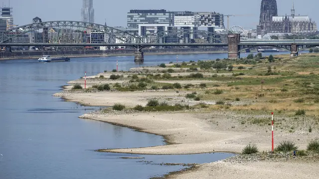 Sungai Rhine di Jerman Dilanda Kekeringan Parah