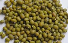 5 Trik Empukkan Kacang Hijau, Siap Diolah Jadi Aneka Hidangan Favorit Keluarga