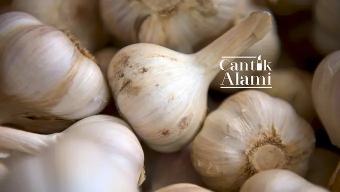 Cantik Alami: Khasiat Bawang Putih untuk Kecantikan