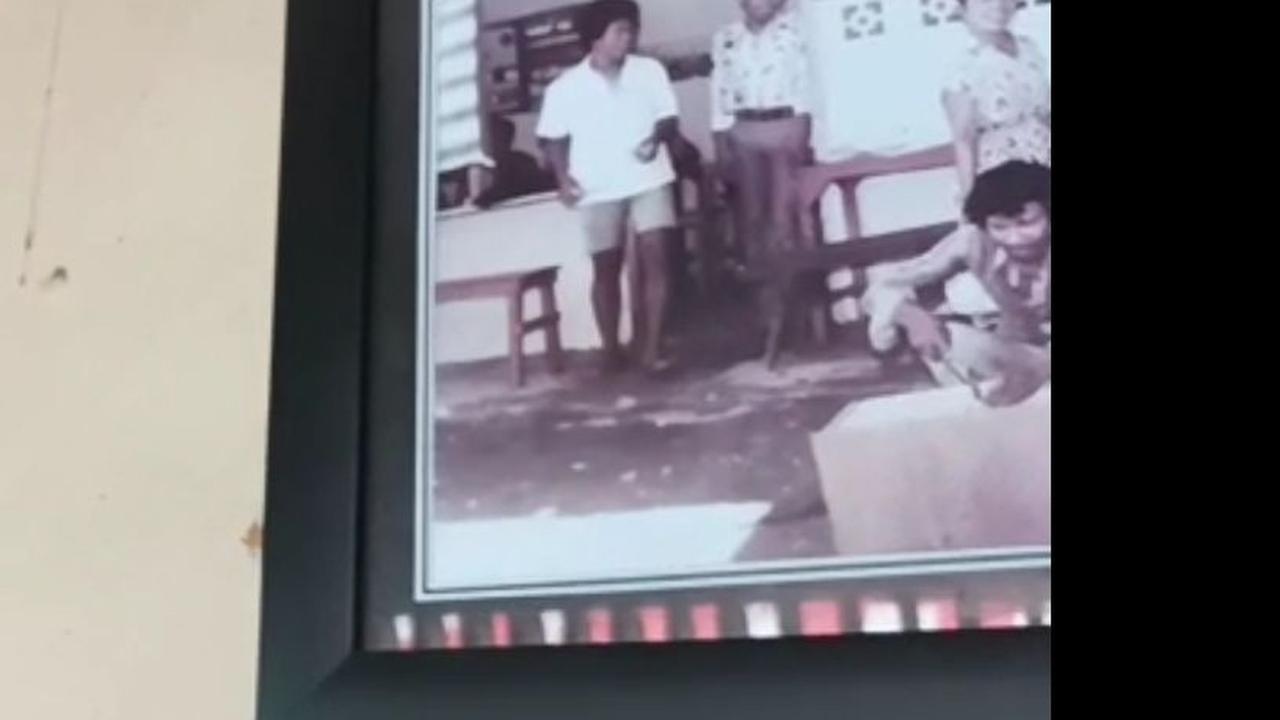 Dok. Istimewa