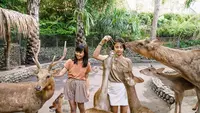 Libur Lebaran 2026, Kunjungan Wisatawan ke Bali Zoo Naik 120 Persen