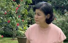 5 Potret Kebun Bunga Mawar Desiree Tarigan di Halaman Belakang Rumah, Bunga Bermekaran Warna-warni Sangat Cantik