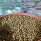 Butiran kacang kedelai impor Amerika menjadi salah satu komoditas yang sangat dibutuhkan pengrajin tempe di Garut, Jawa Barat. (Liputan6.com/Jayadi Supriadin)