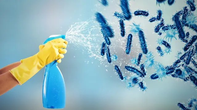 Virus Marburg muncul lagi akibat kelalawar/dok. Unsplash Todd