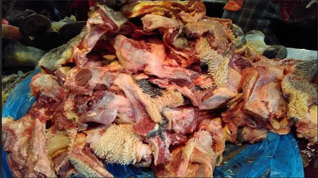 Impor Jeroan Sapi