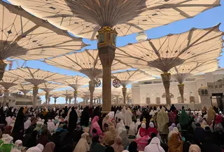 Jemaah haji Indonesia beribadah di Masjid Nabawi, Madinah, sebelum digeser ke Makkah. (dok. Media Center Haji 2026)