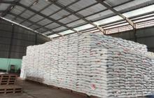 Data BPS: Harga Beras Naik di Desember 2025