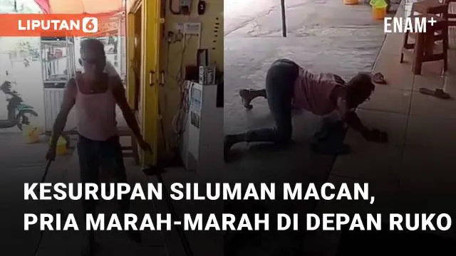 VIDEO: Aksi Pria Marah-Marah di Depan Ruko, Netizen Kesurupan Siluman Macan