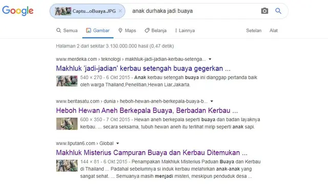 Gambar Tangkapan Layar Penelusuran dengan Google Image