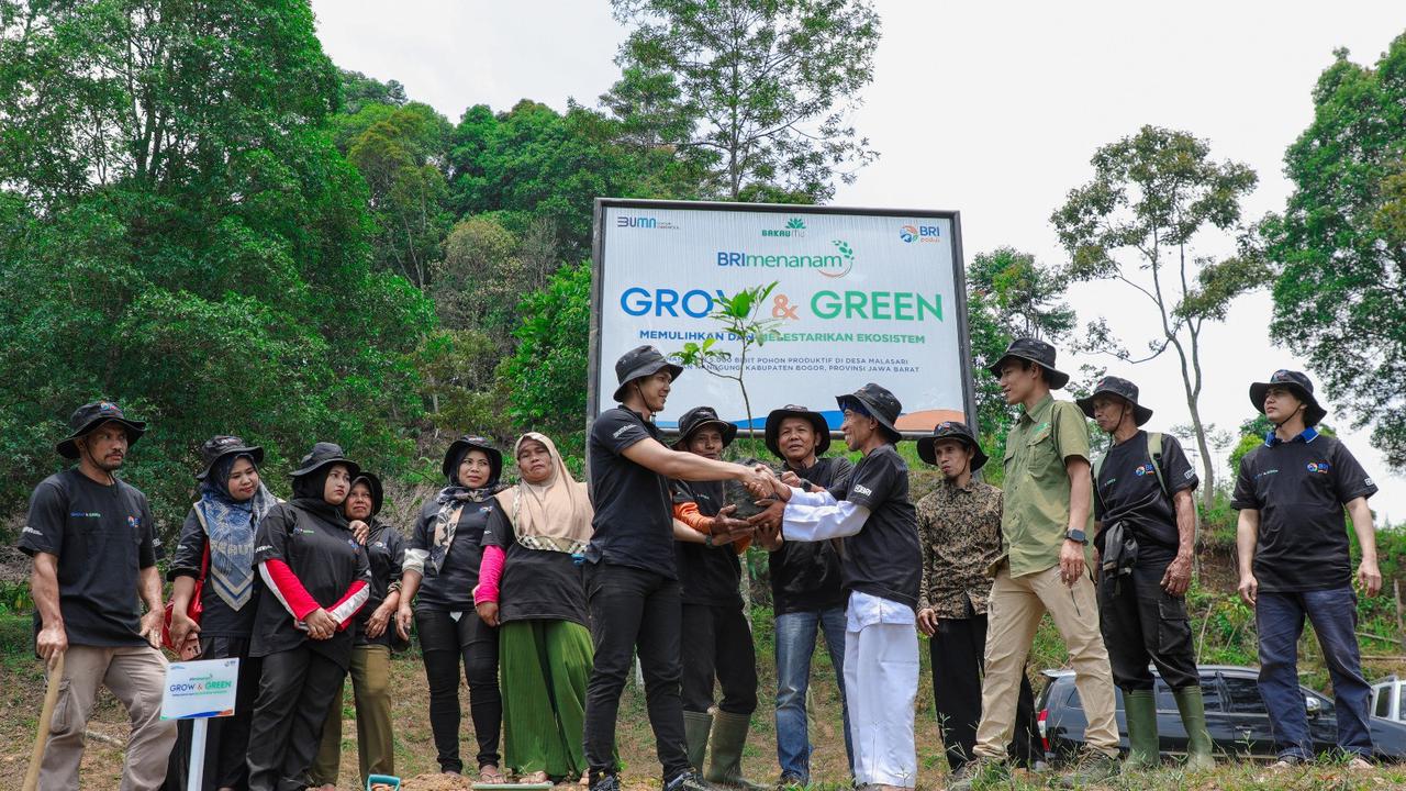Aksi Nyata Kelompok Tani Mantan Penambang Pulihkan Hutan Melalui BRImenanam Grow & Green