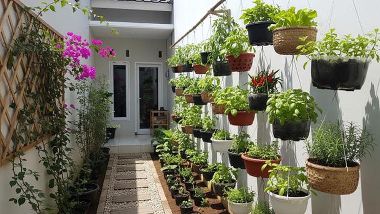 Model Desain Halaman Belakang Rumah Kecil dengan Pot Gantung Sayur dan Tanaman Rempah