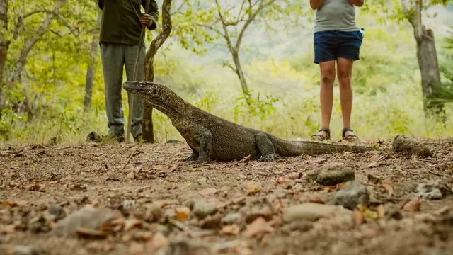 Taman Nasional Komodo
