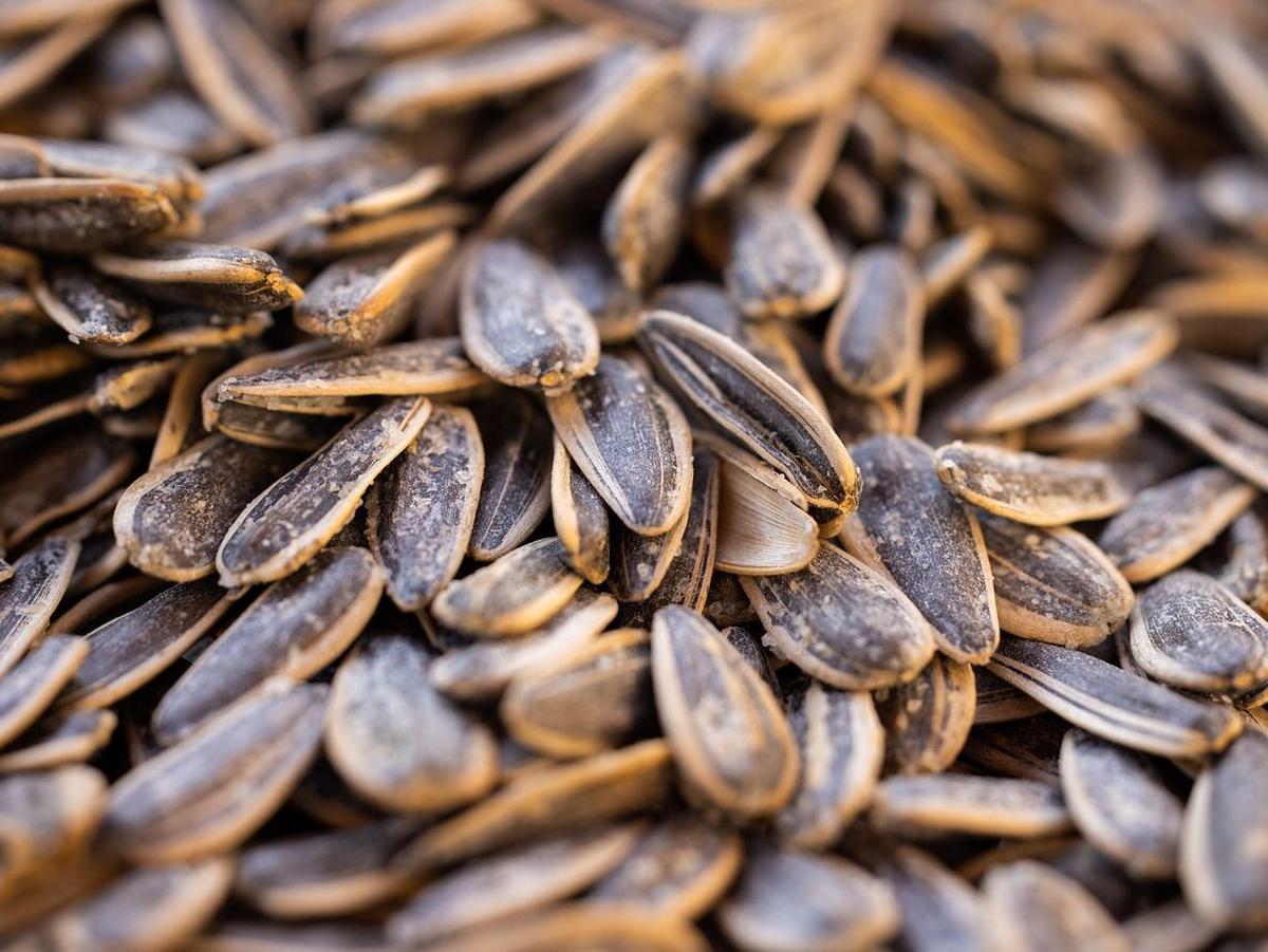 Manfaat Vitamin E bagi Wanita