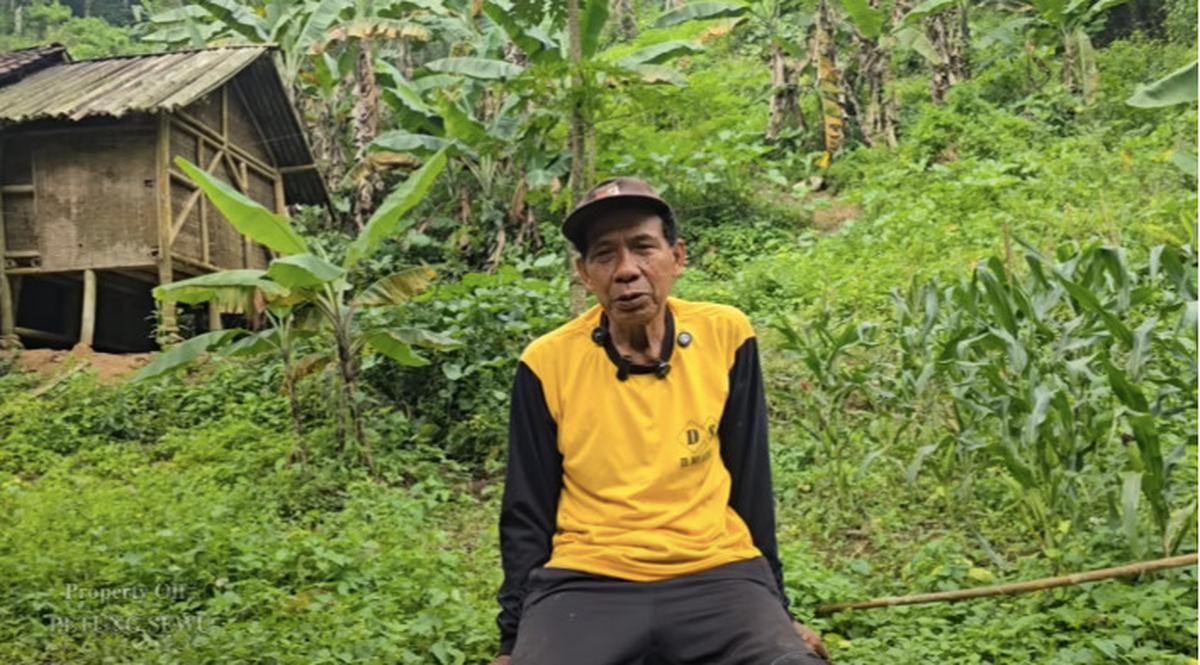 sholeh tinggal di hutan
