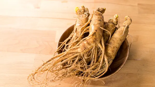 akar ginseng