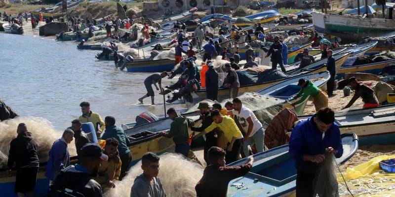 Menengok Ribuan Nelayan Palestina Berburu Ikan Sarden