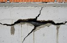 Jangan Abaikan Ini, 10 Kesalahan Renovasi yang Bikin Ular Betah di Rumah