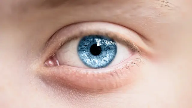 Ilustrasi mata (pixabay)