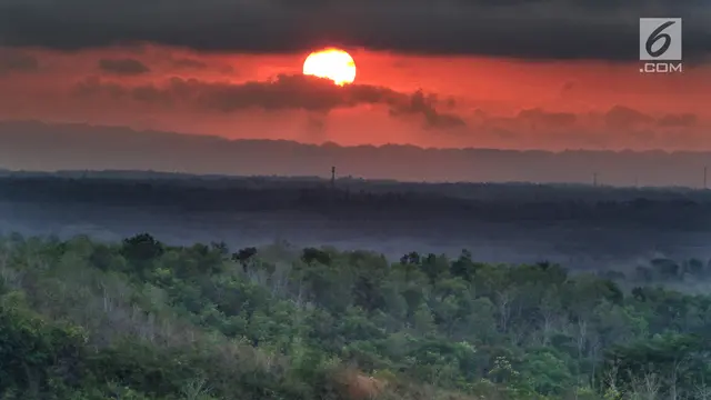 Bukit Panguk Kediwung Yogyakarta