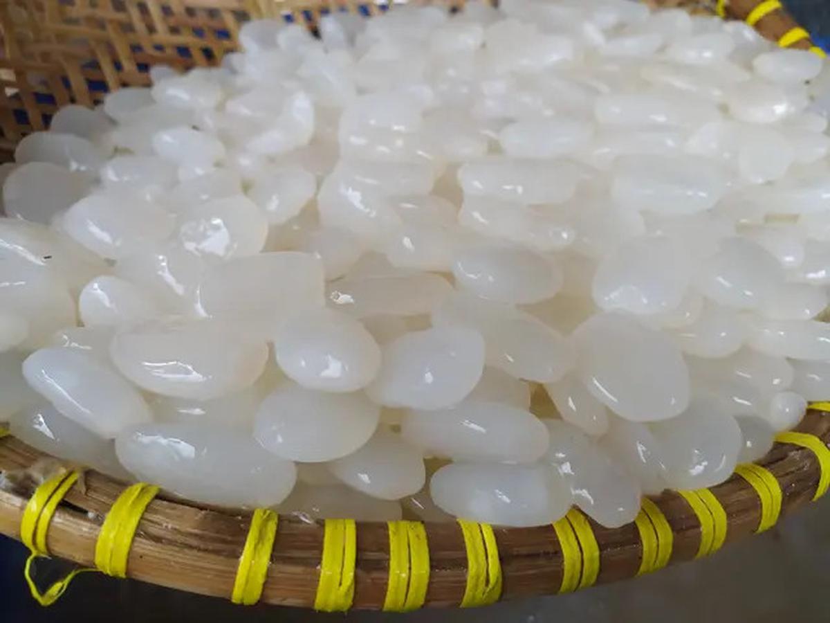 Manfaat Kolang-Kaling Rahasia Sehat Turunkan Kolesterol dan Asam Urat