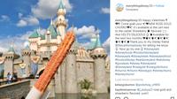 Disneyland mengeluarkan produk makanan berupa Churros Rose Gold, simak informasinya di sini! (instagram/everythingdisney.55)