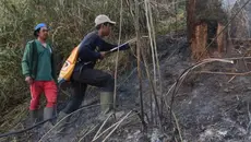 Hutan di Ranu Kembang Terbakar, Jalur Pendakian Gunung Semeru Ditutup Total