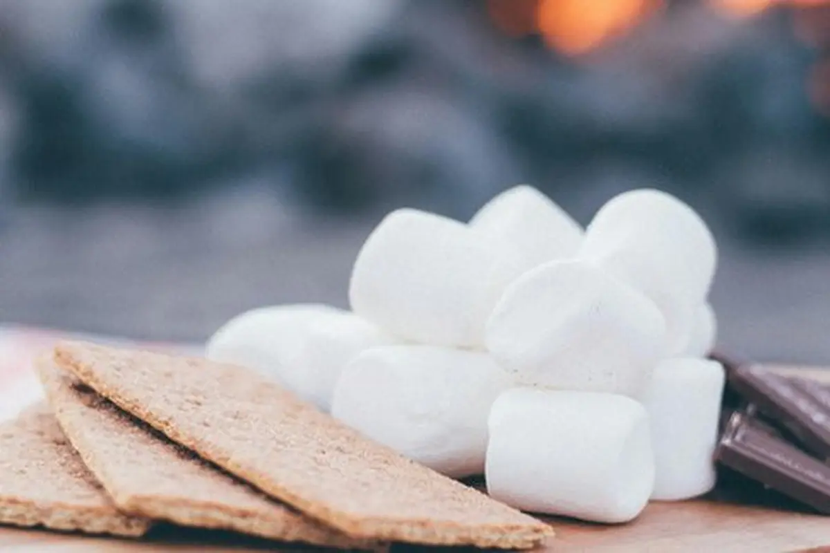 Resep Roti Bakar Marshmallow yang Lezat, Teman Setia Saat Udara Dingin