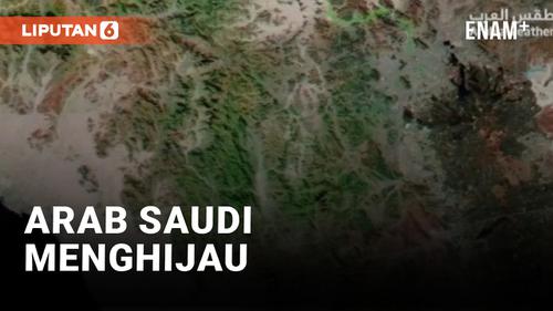 VIDEO: Foto Satelit Arab Saudi, Mekkah, Jeddah dan Madinah Menghijau