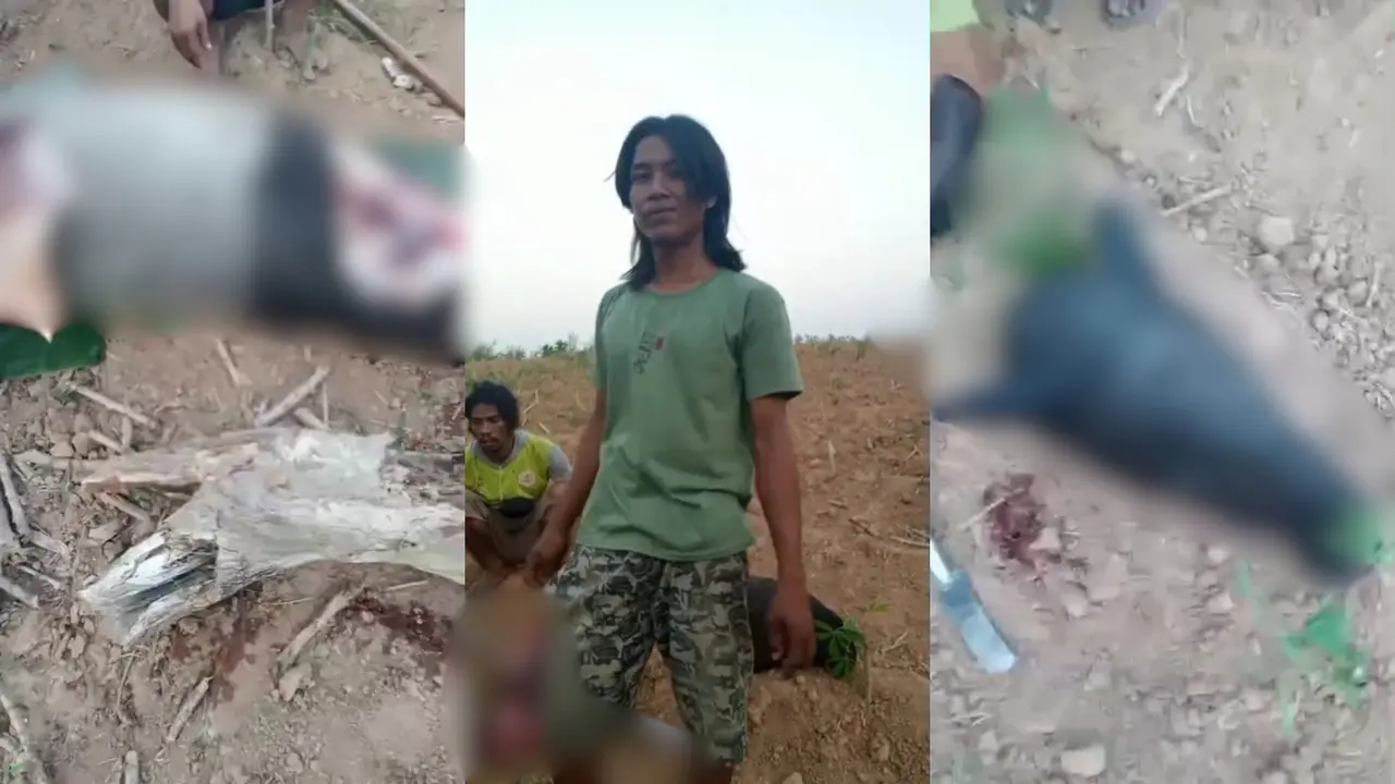 Tangkapan layar video viral warga di Mesuji, Lampung bantai tapir untuk dikonsumsi. (Dok. Istimewa).