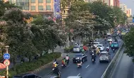 Warna-warni Tabebuya Bermekaran di Jakarta