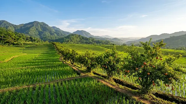 Pohon Buah yang Cocok Ditanam di Pematang Sawah