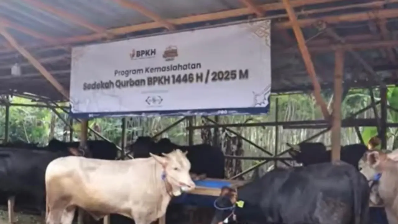 Badan Pengelola Keuangan Haji (BPKH) kembali menggelar program Sedekah Kurban 1446 Hijriah atau pada Idul Adha 2025 ini.