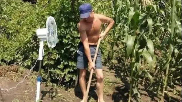 7 Potret Absurd Aksi Petani saat Garap Sawah Ini Bikin Tepuk Jidat