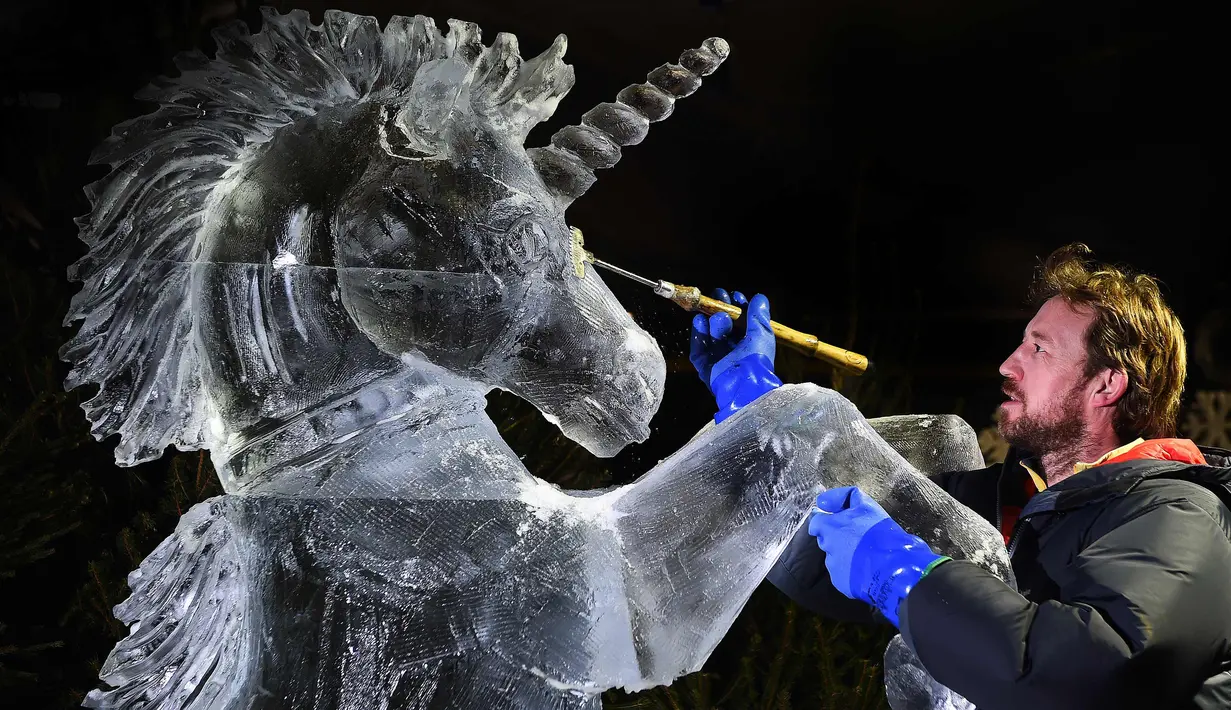 Pemahat es Darren Jackson memberi sentuhan akhir pada patung es Unicorn, sebelum melangsungkan pameran bertema "The Ice Adventure: A Journey Through Frozen Scotland" di Edinburgh, Skotlandia (14/11). (AFP Photo/Andy Buchanan)