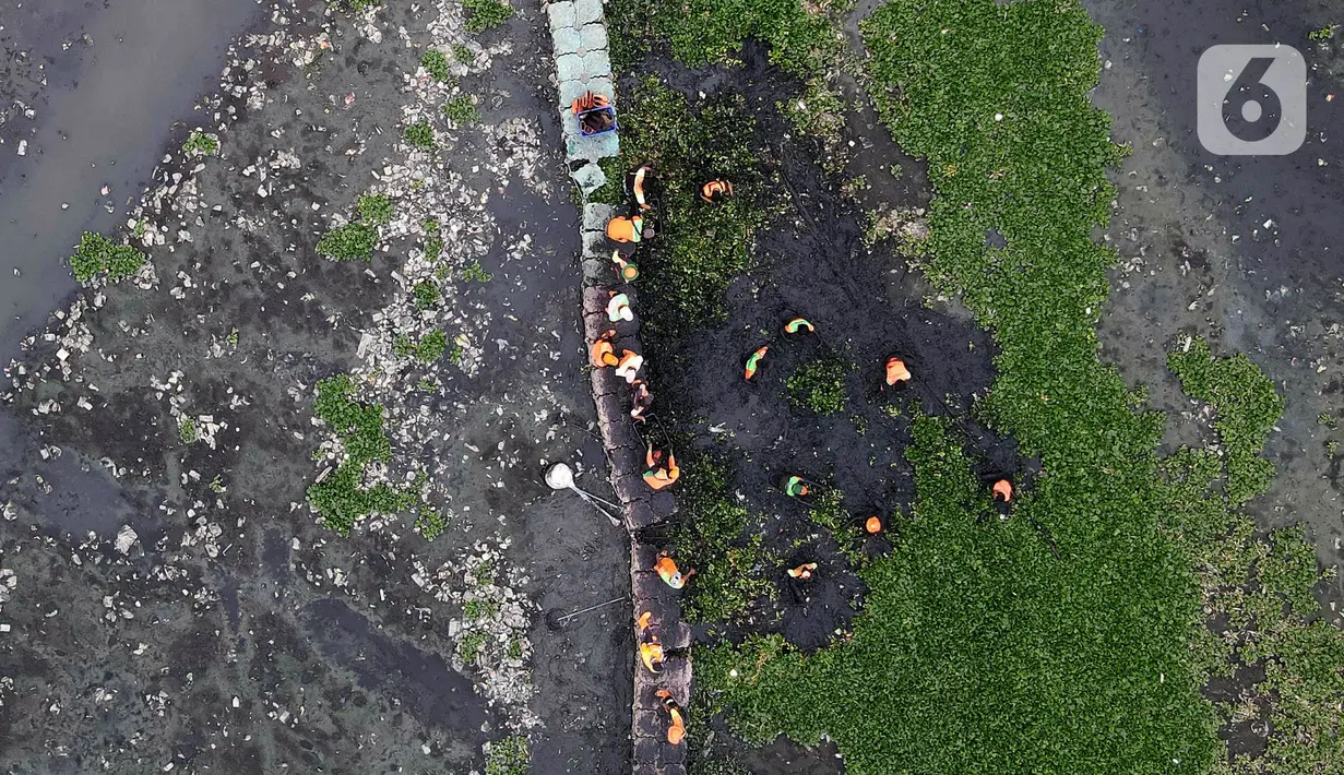 Pembersihan dan pengerukan merupakan langkah menormalisasi Waduk Pluit agar dapat menampung air secara maksimal. (Liputan6.com/Herman Zakharia)
