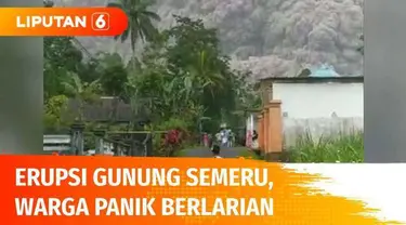 Gunung Semeru yang terletak di antara Kabupaten Malang dan Lumajang erupsi pada Sabtu (04/12) petang. Warga panik berlarian menghindari hujan abu vulkanik.