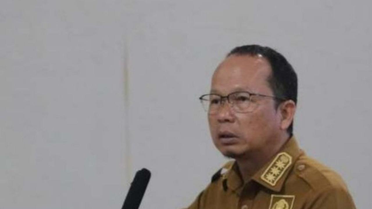 Inovasi Pertanian: Padi Gogo Bangka Tengah Tumbuh Subur di Lahan Sawit Remaja, Solusi Produktif Petani