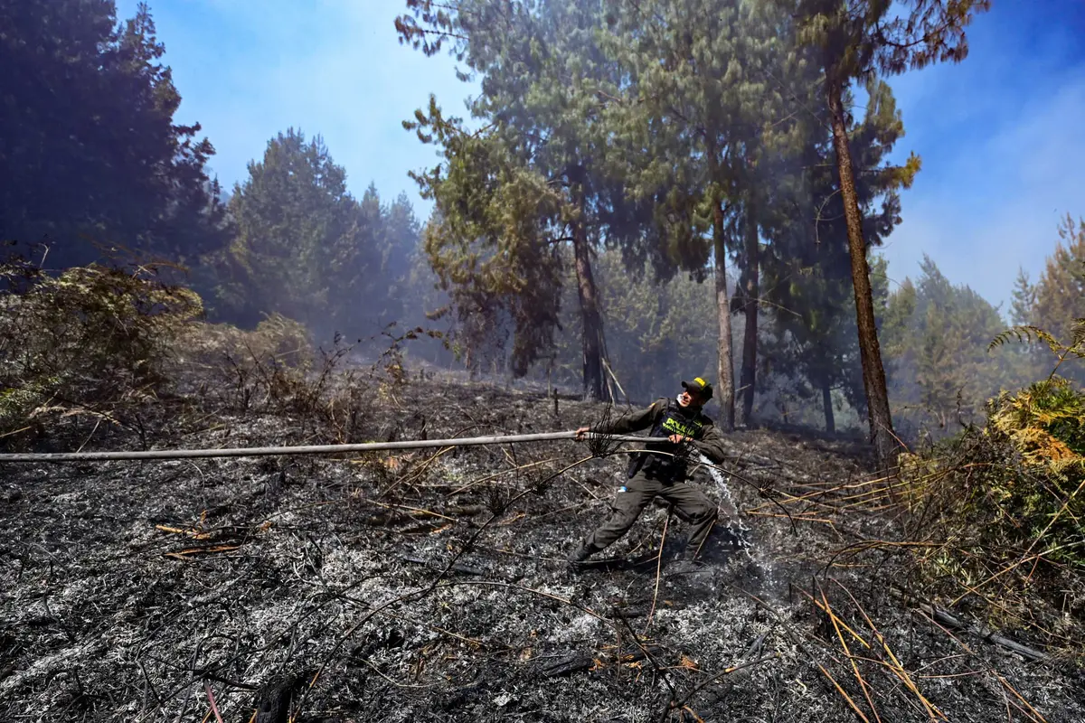 Fenomena El Nino Picu Kebakaran Hutan di Kolombia