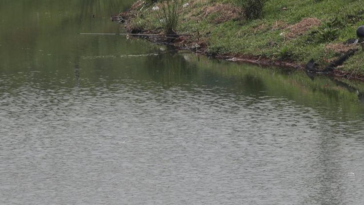 Sebagai informasi waduk seluas 4,4 hektar ini memiliki daya tampung air hingga 44.000 meter kubik.