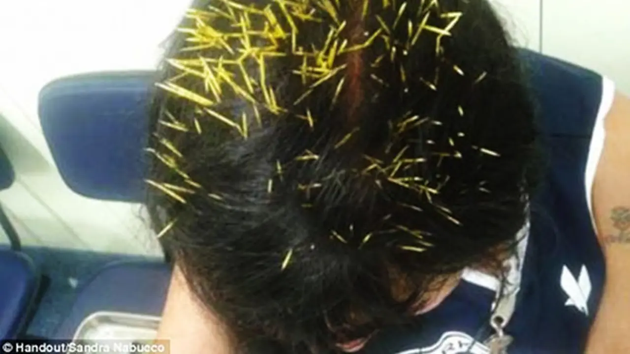 rambut-landak140123b.jpg