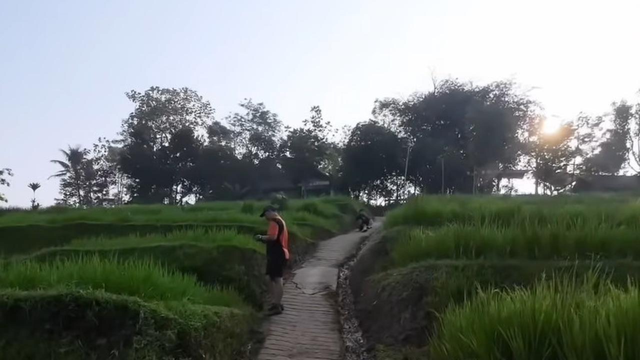 Sawah Cisema Banjaran Wetan