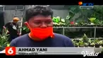 Di tengah pandemi Covid-19 berdampak pada tingginya animo masyarakat terhadap tanaman hias, khususnya sansivera. Terbukti saat ini, cukup sulit untuk mencari bibit tanaman sansivera yang bagus di pasaran.