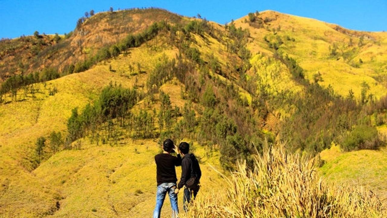 Memanjakan mata menikmati keindahan bukit 'Teletubbies' di Bromo