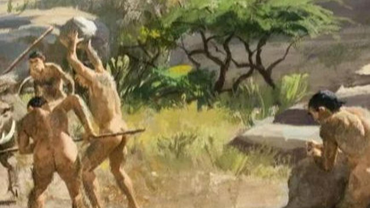 Studi Terbaru Buktikan Manusia Purba Neanderthal Berburu Singa 48.000 Tahun Lalu