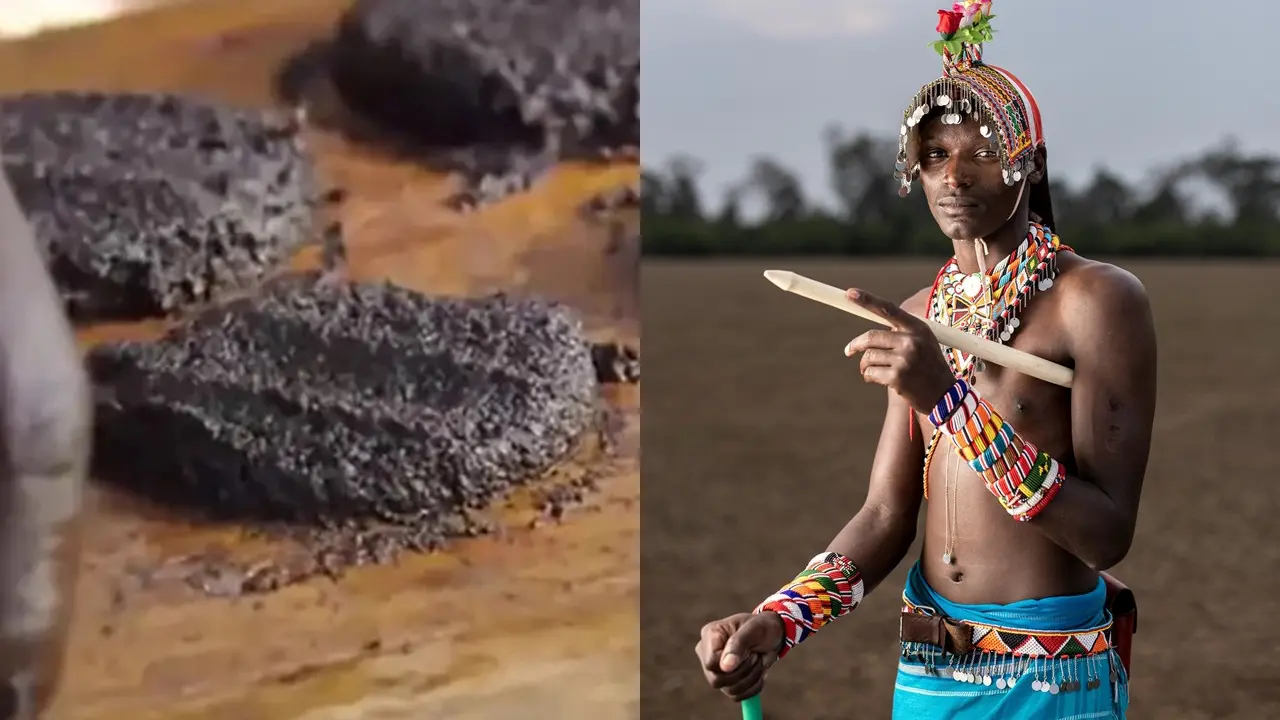 Burger Nyamuk Afrika